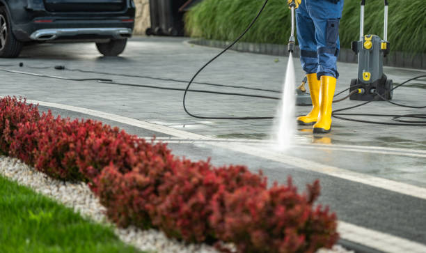 Best Fence Pressure Washing  in Battlement Mesa, CO
