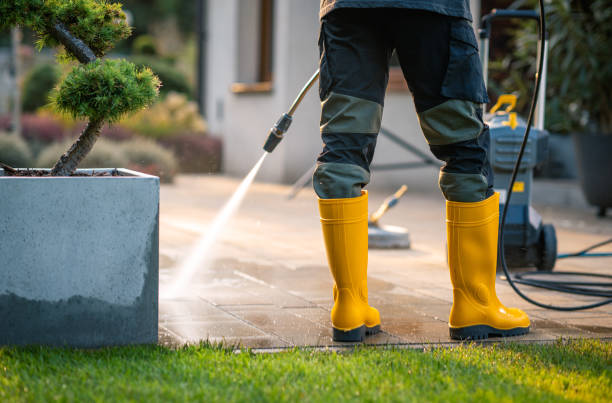 Best Deck Cleaning Services  in Battlement Mesa, CO